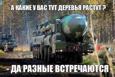 Прикрепленное изображение: 10990888_10154031966513539_628997888005276622_n.jpg